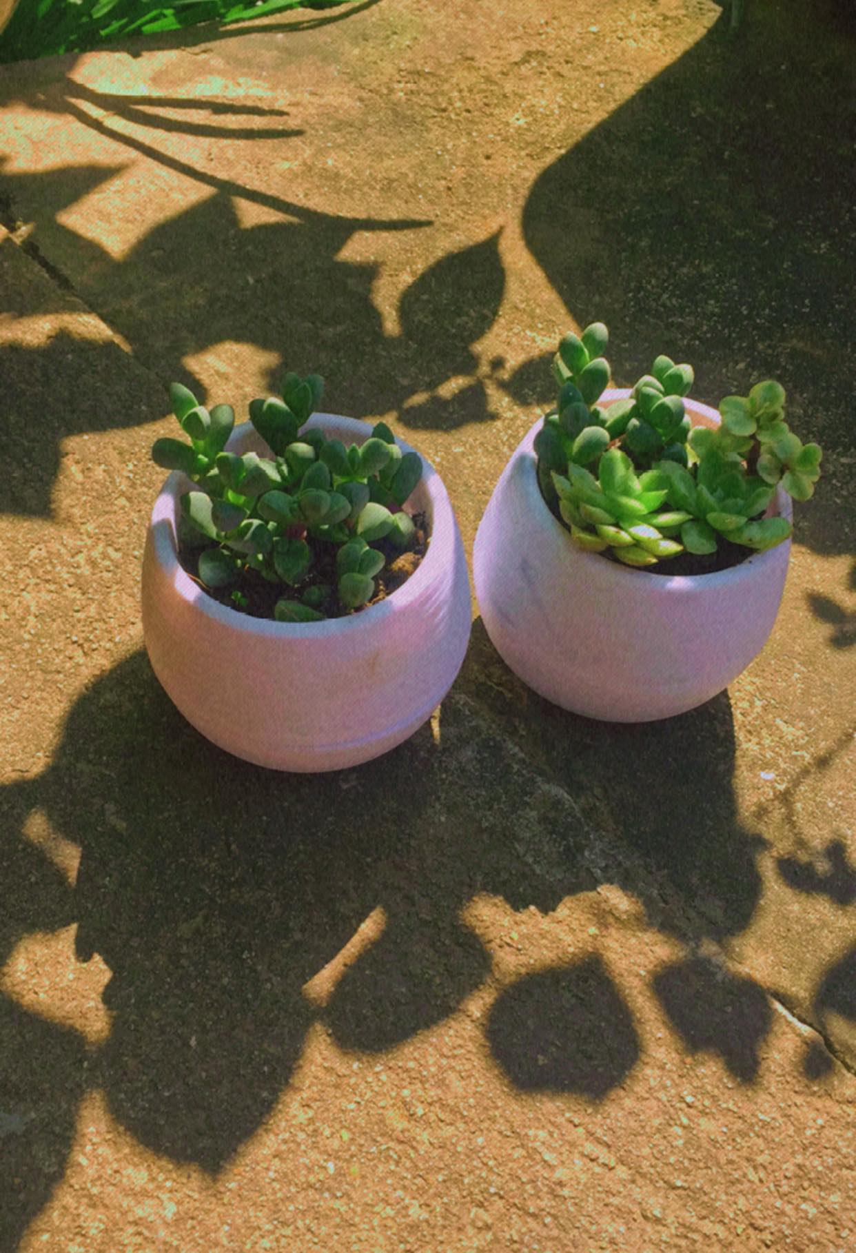 Ảnh sự kiện cưới